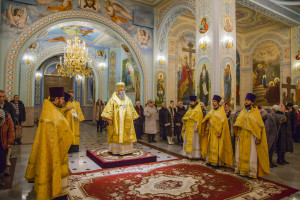 Божественная литургия. Волгодонск. 28.12.2014 г.