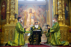 В День Святой Троицы, Пятидесятницы, Глава Донской митрополии совершил Божественную литургию в Ростовском кафедральном соборе